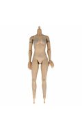 Cuerpo femenino articulado 1/6