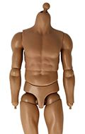 Caucasian Male Body