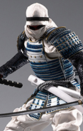 White Ninja